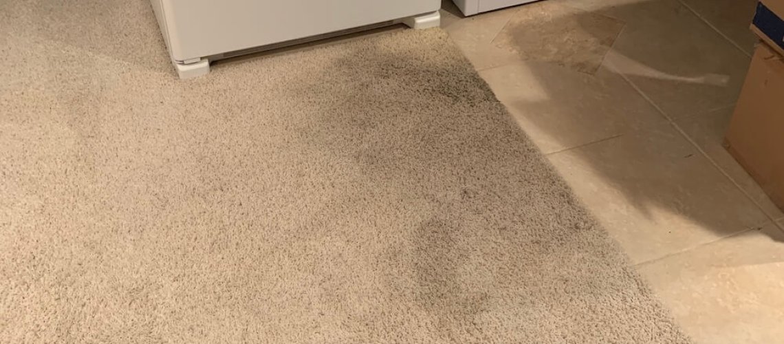 vlm carpet cleaning buffer dirty carpet