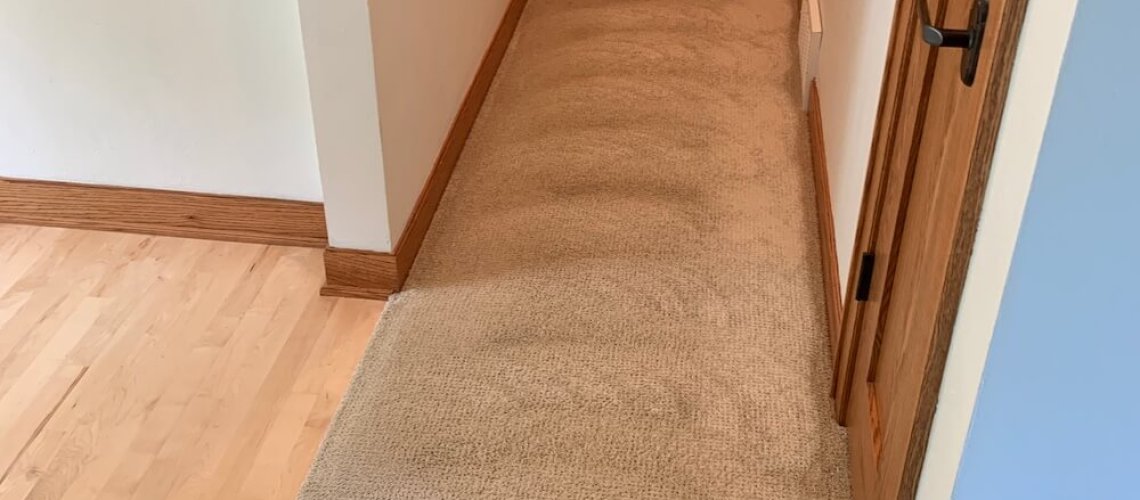 vlm carpet cleaning buffer hall
