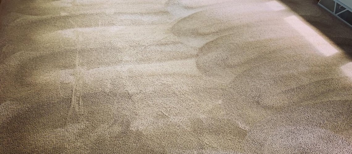 vlm swirl marks